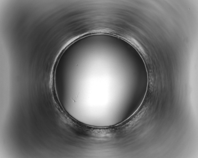 X0000096481044200801241440