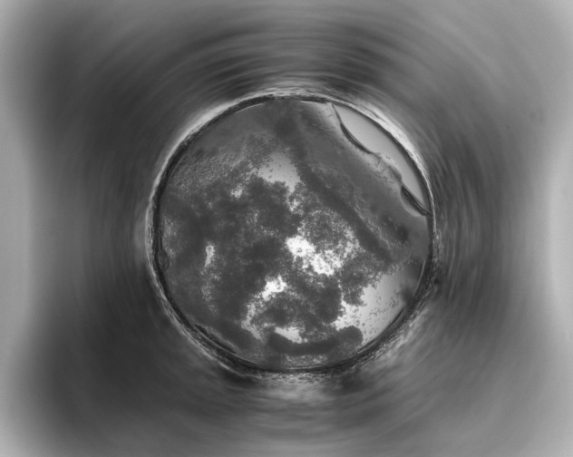 X0000096481045200801241440