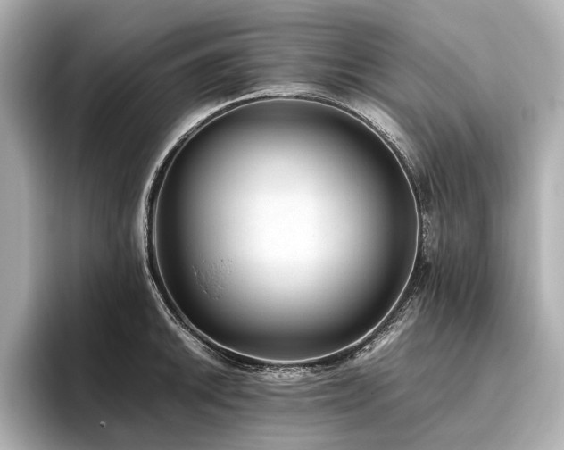 X0000096481046200801241440