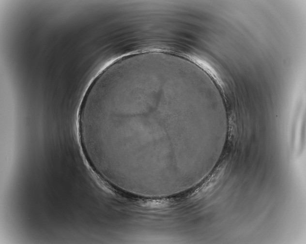 X0000096481047200801241440