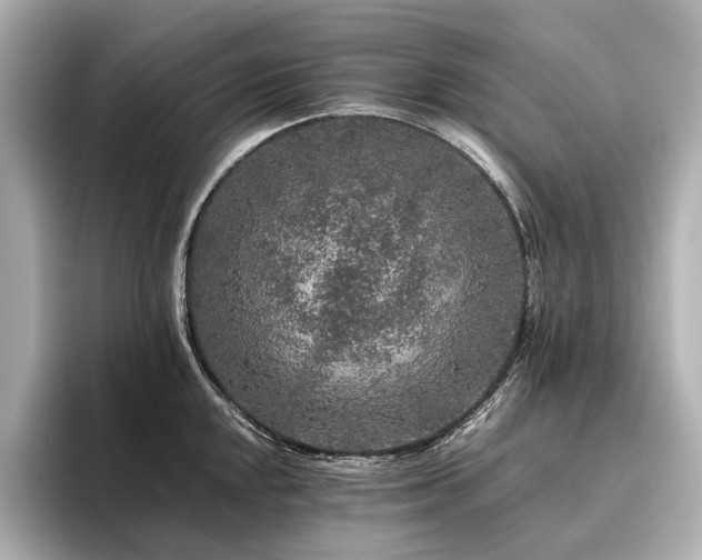 X0000096481048200801241440