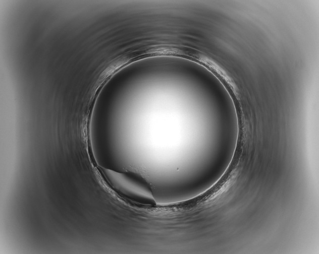 X0000096481049200801241440