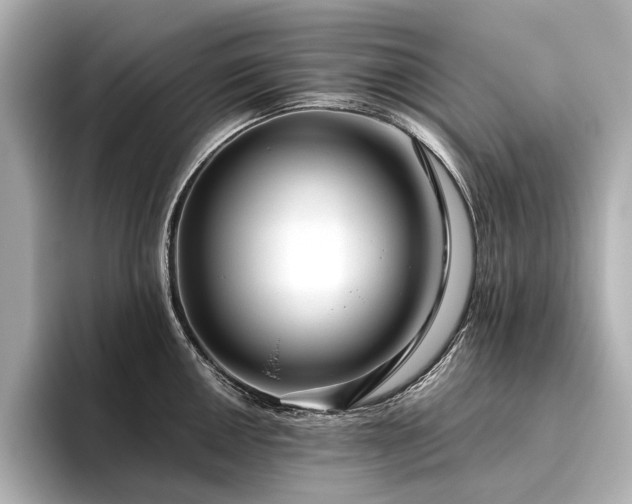 X0000096481050200801241440