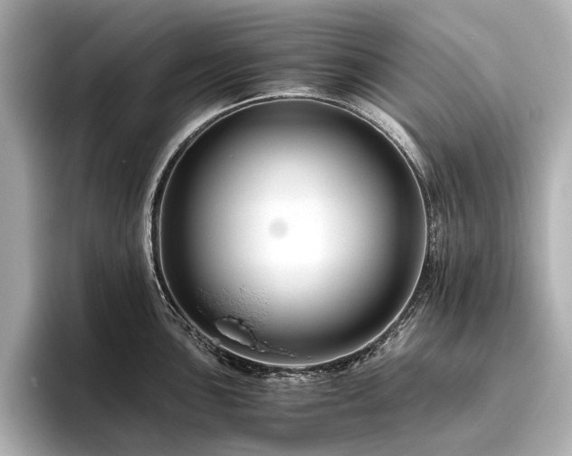 X0000096481051200801241440