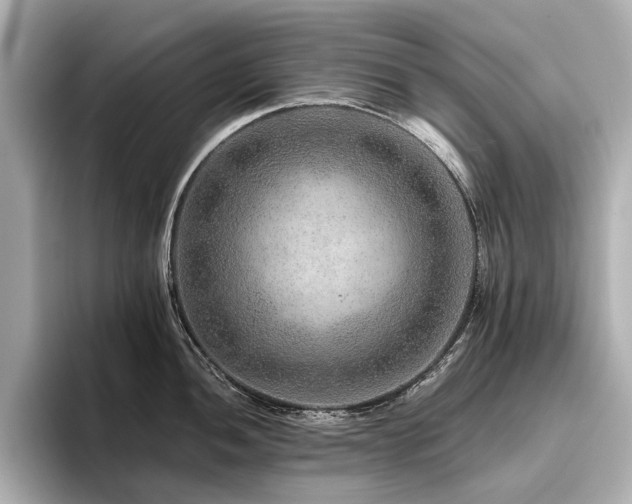 X0000096481052200801241440