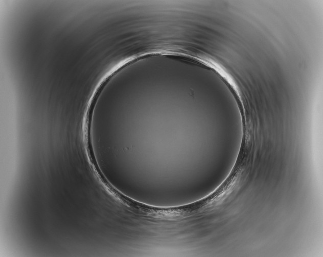 X0000096481053200801241440