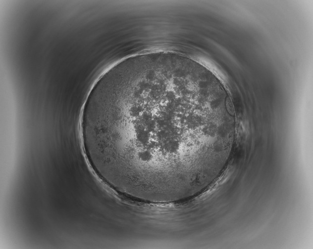 X0000096481055200801241440