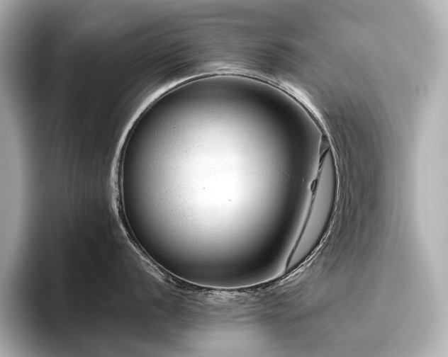 X0000096481056200801241440