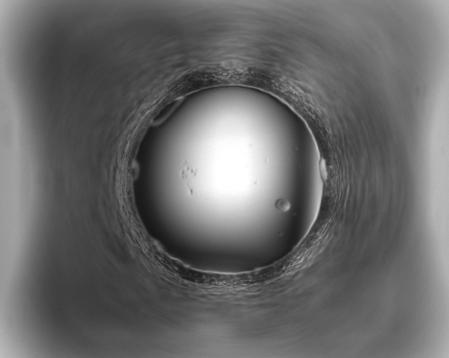 X0000096481057200801241440