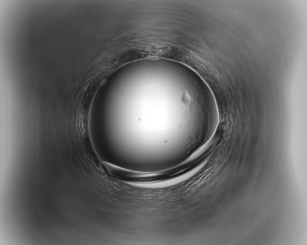 X0000096481058200801241440