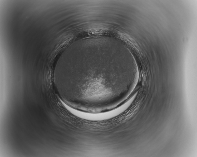 X0000096481060200801241440