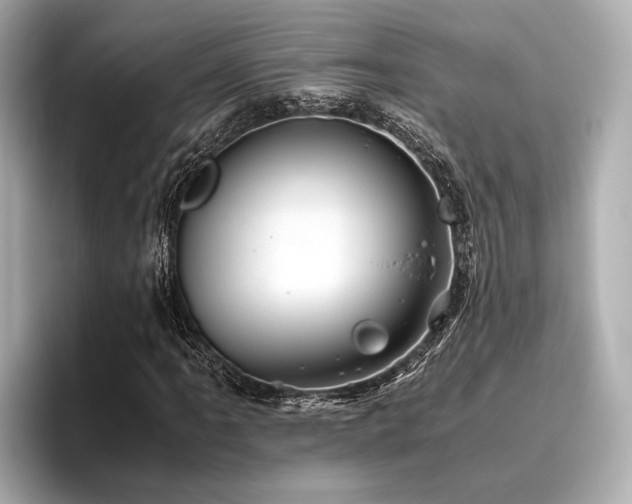 X0000096481061200801241440