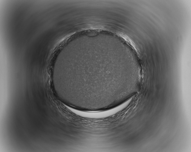 X0000096481064200801241440