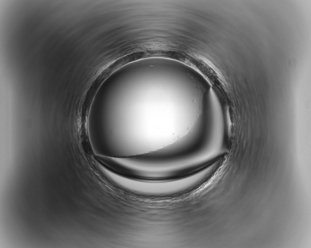 X0000096481065200801241440