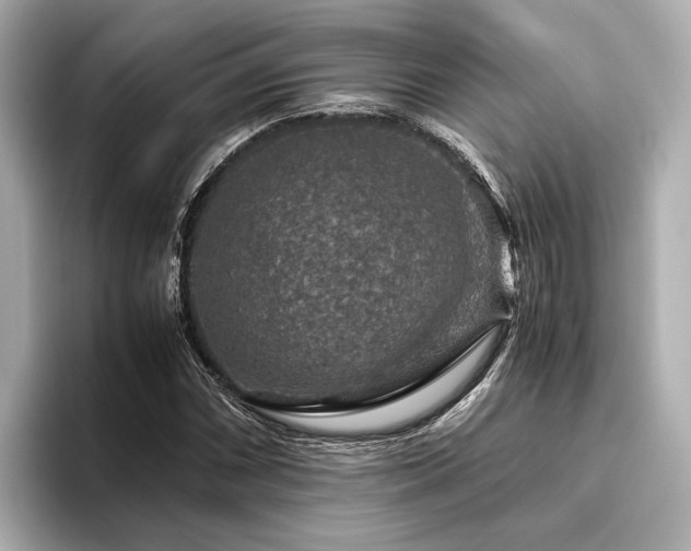 X0000096481066200801241440