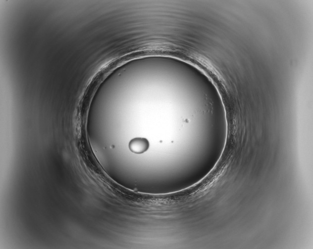 X0000096481067200801241440