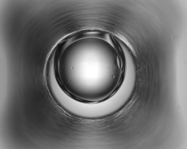 X0000096481068200801241440