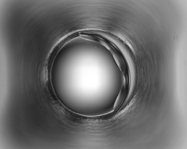 X0000096481069200801241440