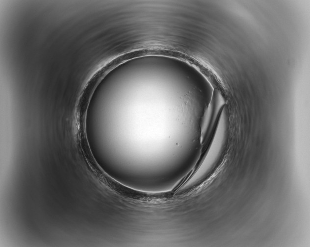 X0000096481070200801241440