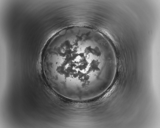 X0000096481071200801241440