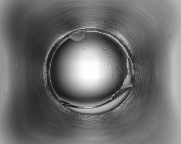 X0000096481072200801241440