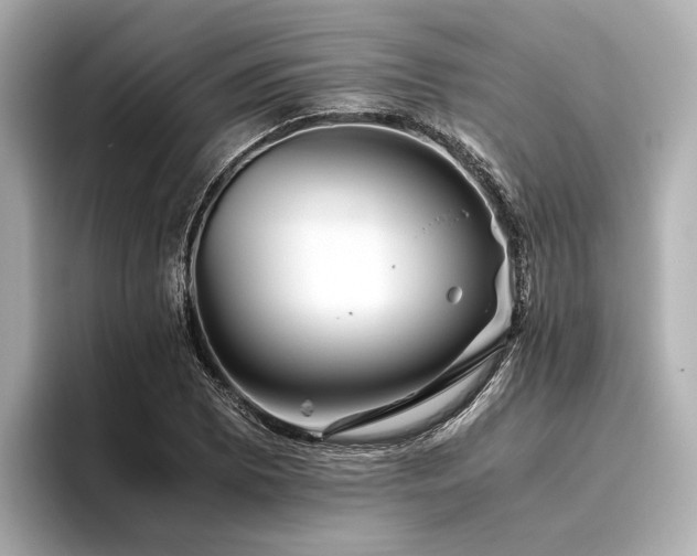 X0000096481073200801241440