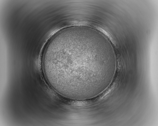 X0000096481074200801241440