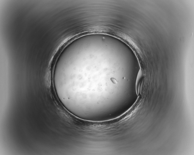 X0000096481075200801241440