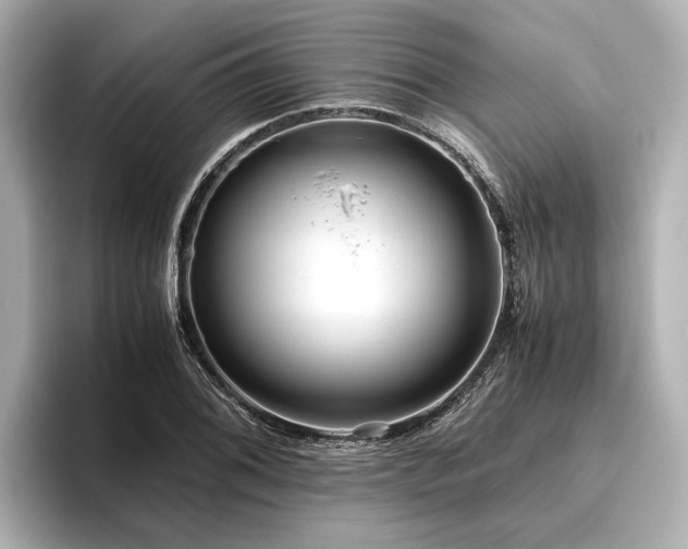 X0000096481076200801241440