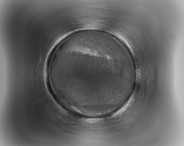 X0000096481077200801241440