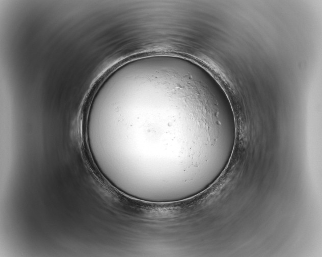 X0000096481078200801241440