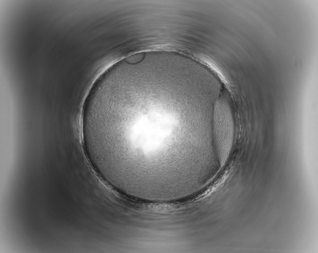 X0000096481079200801241440