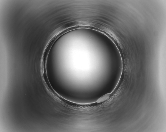 X0000096481080200801241439