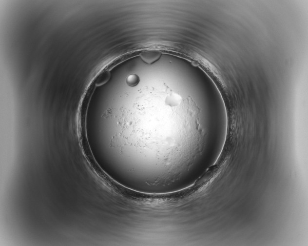 X0000096481082200801241439