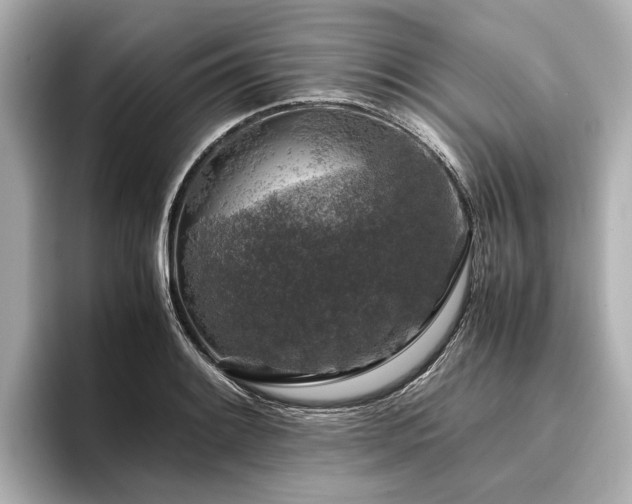 X0000096481084200801241439