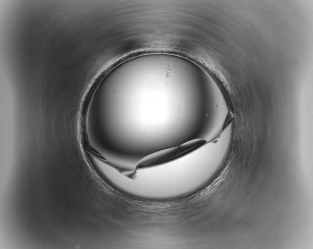 X0000096481085200801241439