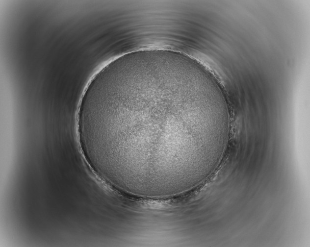 X0000096481086200801241439