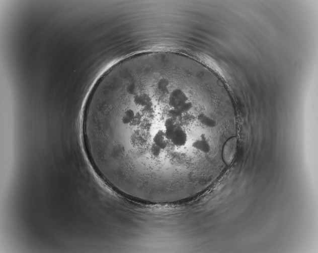 X0000096481087200801241439