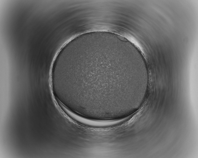 X0000096481088200801241439