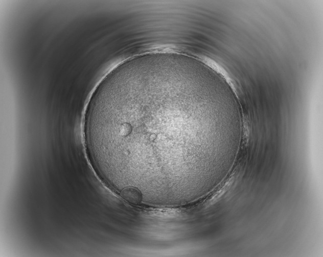 X0000096481090200801241439