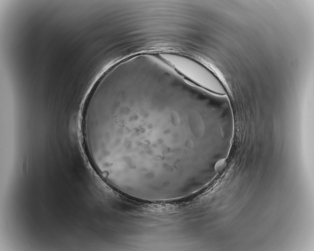 X0000096481091200801241439