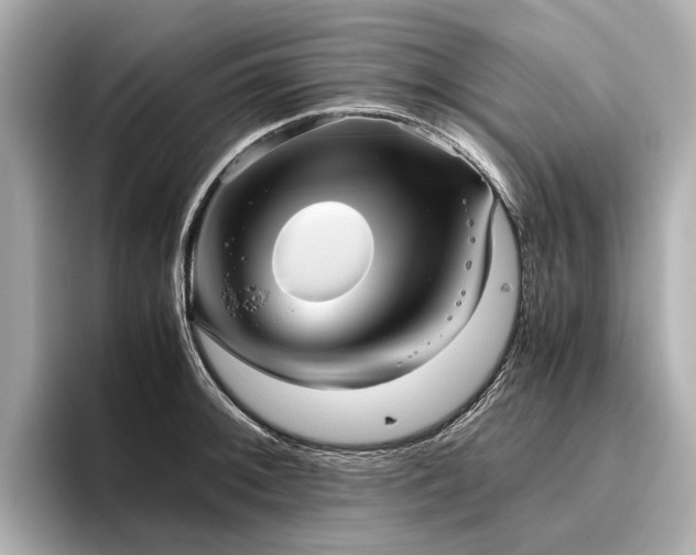 X0000096481092200801241439