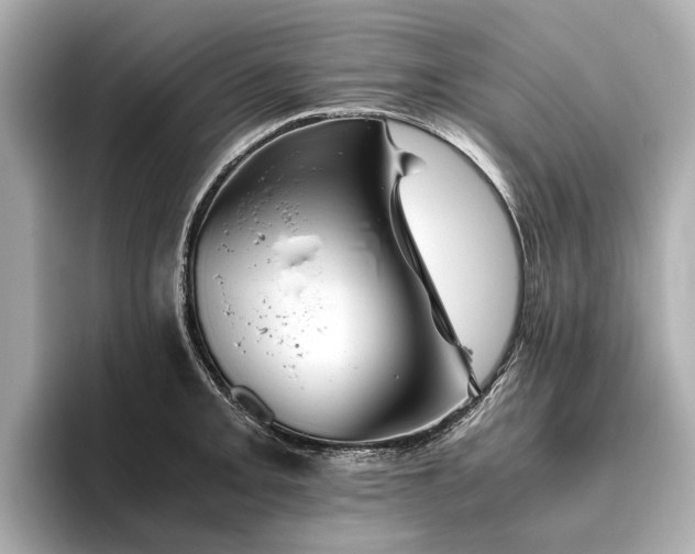 X0000096481093200801241439