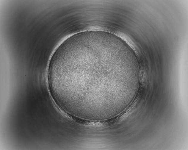 X0000096481094200801241439