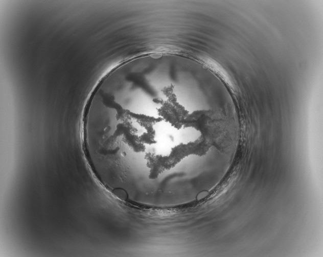 X0000096481095200801241439