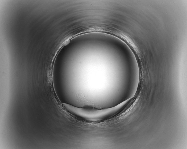 X0000096481097200801241439