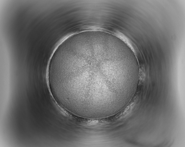 X0000096481098200801241439