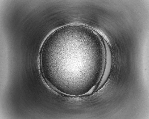 X0000096481100200801241439