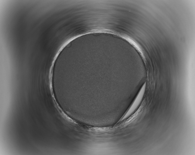 X0000096481102200801241439