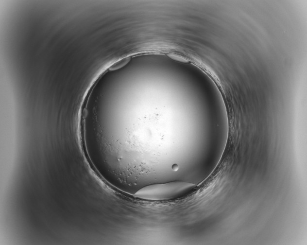 X0000096481103200801241439